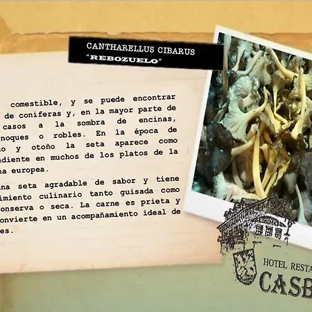 Casbas 3*